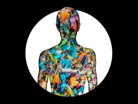 Mikroplastiklər ürək sağlamlığını təhdid edir