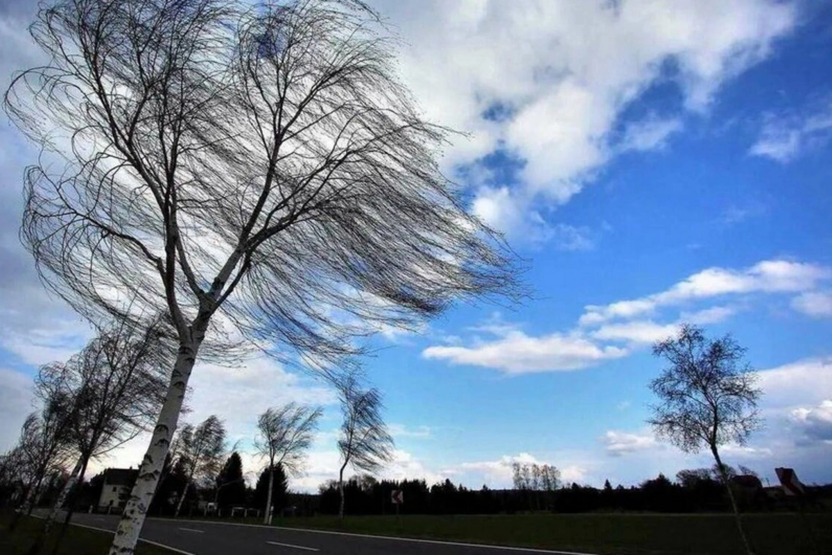 Küləkli hava şəraiti ilə bağlı sarı və narıncı xəbərdarlıq verilib