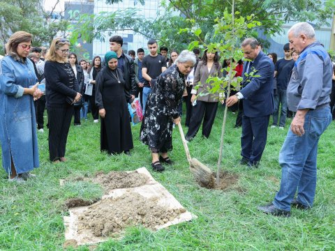 UNEC-də kök salan şəhidlər: Onların xatirəsi Xan çinarla əbədiləşdirildi