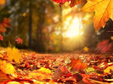 Azərbaycana payız gəldi