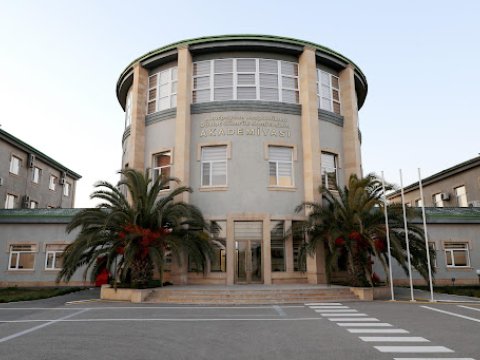 Gömrük Akademiyasında 600-dən çox bal toplayan tələbələrin SAYI