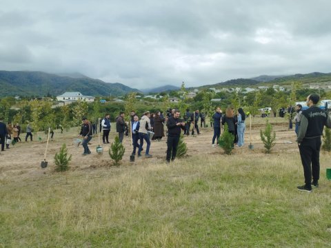 Xocalıda ağacəkmə aksiyası keçirilib 