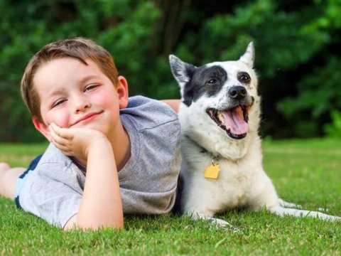 Ev heyvanları məktəbdə - DÜNYA TƏCRÜBƏSİ