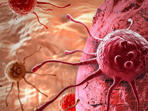 Genetik mutasiyaların xərçəng riskinə TƏSİRİ