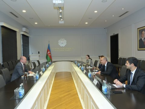 Nazir qlobal reytinq agentliyinin regional direktoru ilə görüşdü