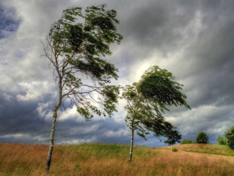 Güclü külək əsəcək - XƏBƏRDARLIQ