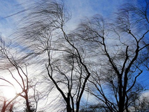 Sabah hava küləkli olacaq