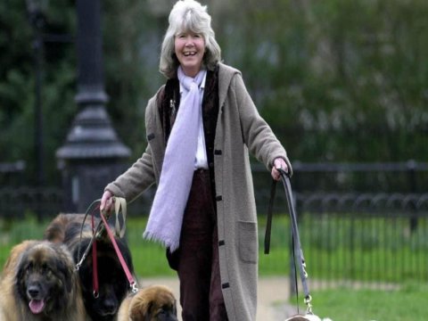 Britaniyalı yazıçı Cilli Kuper vəfat edib