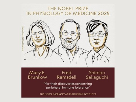 Tibb üzrə Nobel mükafatı laureatları açıqlanıb