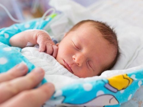 Ölkədə nikahdankənar doğulan körpələrin sayı azalıb