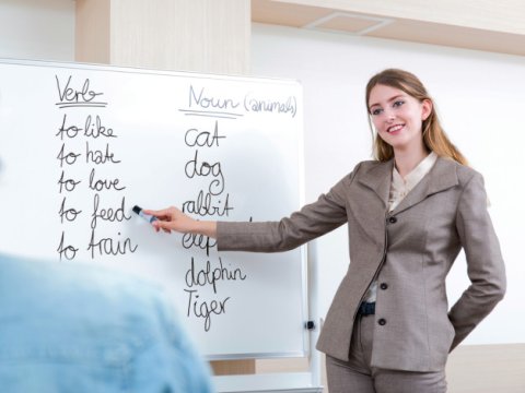 Bu ölkədə elmi fənlər üzrə müəllimlərə 31 min funt sterlinqədək təqaüd veriləcək