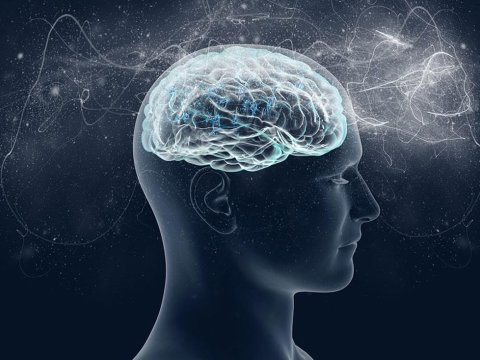 Süni İntellekt elmi tədqiqatları sürətləndirir: Alimlərdən Araşdırma