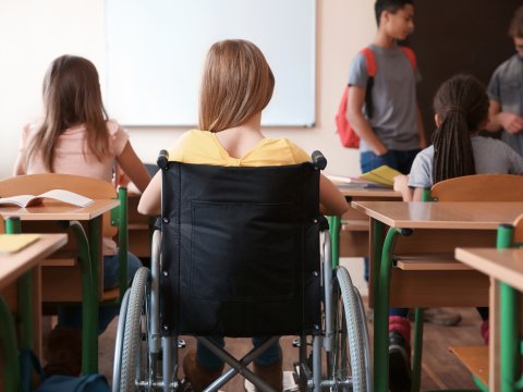 Bu ölkə inklüziv təhsil proqramı qəbul edir