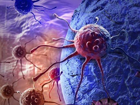 Xərçəng tədqiqatlarında elmi saxtakarlıqların artması alimləri narahat edir