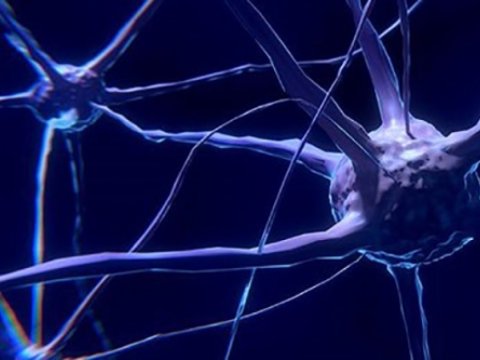 Hüceyrələr qoxunu hiss edir? - Alimlər araşdırır