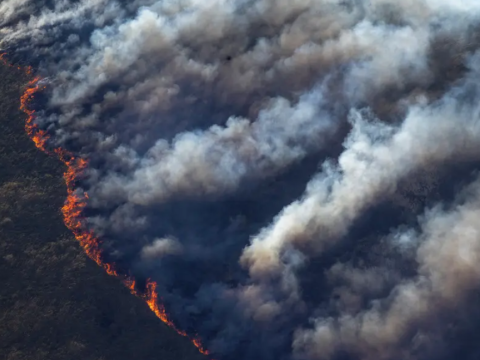 Dünya iqlimi üzrə kritik göstəricilər “qırmızı səviyyədə”dir