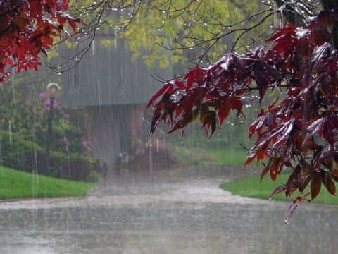 Faktiki hava açıqlanıb