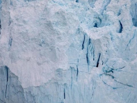 Antarktidada nəhəng buzlaq rekord sürətlə əriyir