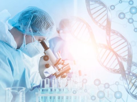 Japon bilim insanları kök hücrelerle yaşlanmaya karşı yeni bir yol arıyor