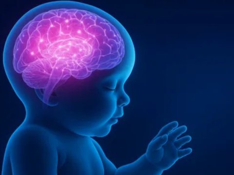 Alimlərdən yeni kəşf: Körpə beyni 3 aylıqda emosional inkişafı müəyyən edir