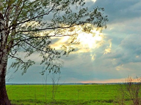 Bu günün hava PROQNOZU