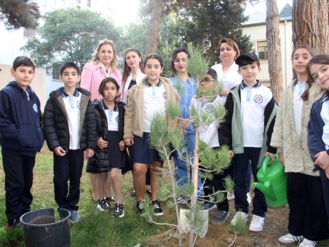 Zəfərin 5 ili - məktəblilərdən ağacəkmə aksiyası...