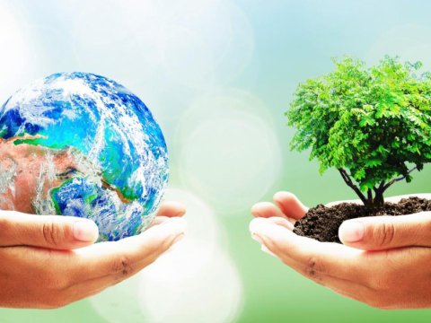 Alimlər bitkilərdə &ldquo;yaddaş&rdquo;ın mövcudluğunu aşkar ediblər