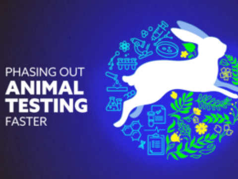 Elmi sınaqlar üçün heyvanlardan istifadə qadağan edilir