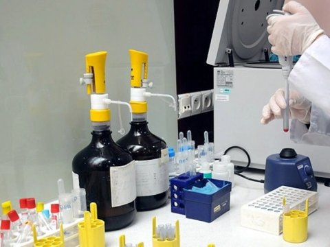 Xərçəng geninə qarşı yeni dərman hazırlanıb