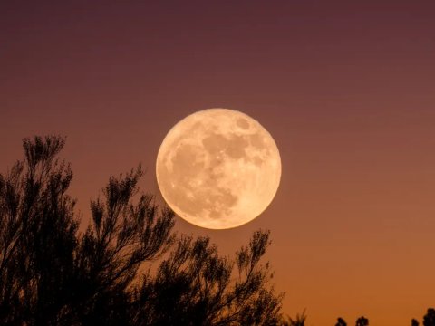 2026-cı ildə 2 Günəş və 2 Ay tutulması baş verəcək