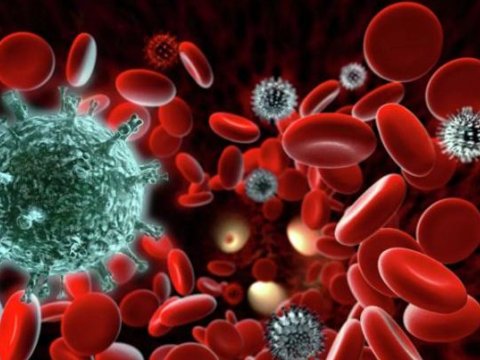 Alimlər immun sistemini sakitləşdirən təbii vasitələri müəyyənləşdirib