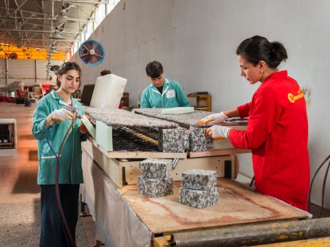 Dual təhsil üzrə hüquqi baza yaradılacaq