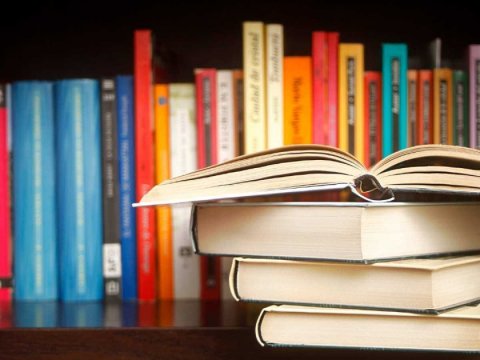 Elmdə görünməyən sədlər:&nbsp;bürokratiya, etik çatışmazlıq və yalançı statistika...