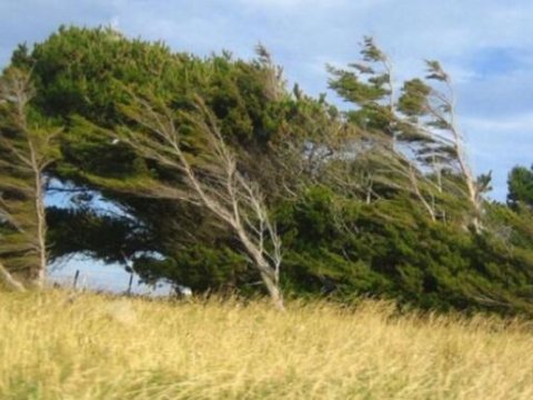Sabahdan havanın temperaturu 5-7 dərəcə enəcək-XƏBƏRDARLIQ