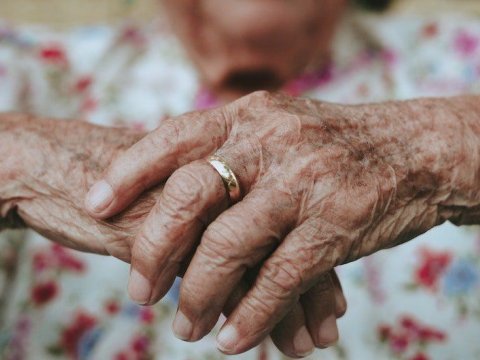 Alimlər uzunömürlülüyün sirrini açdılar