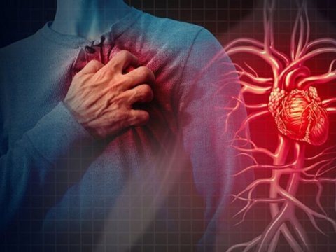 Ürək xəstəliklərinə qarşı yeni müdafiə mexanizmi aşkarlandı