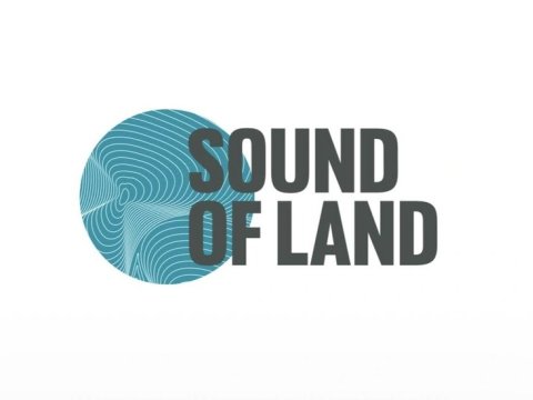 Leyla Əliyevanın rəsm əsərləri əsasında musiqili rəqəmsal şou təqdim olunub