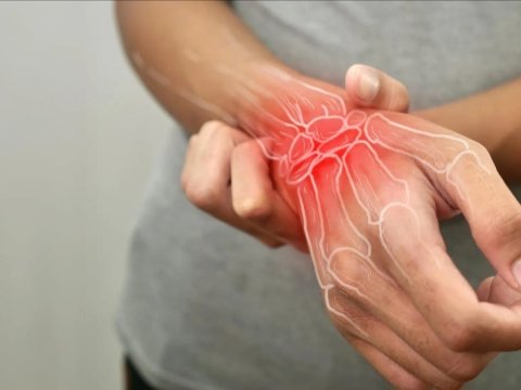 A simple plant was effective in reducing inflammation in joints