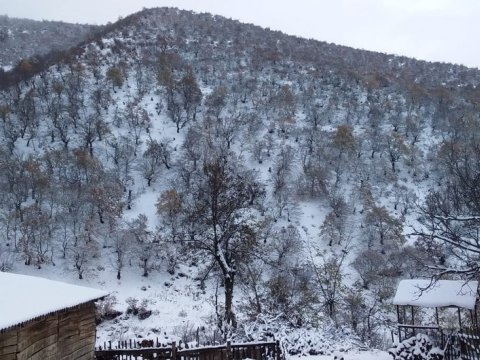 Zaqatalaya 10 sm qar yağdı&nbsp;-&nbsp;FAKTİKİ HAVA