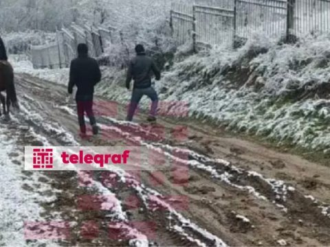 Şagirdlər qonşu kənd məktəbinə atla gedib-gəlməyə məcburdurlar -&nbsp;FOTO