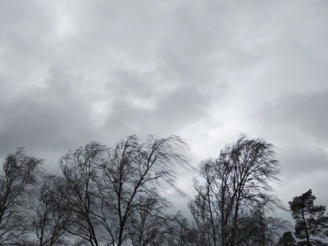 Növbəti iki gündə güclü külək əsəcək - XƏBƏRDARLIQ