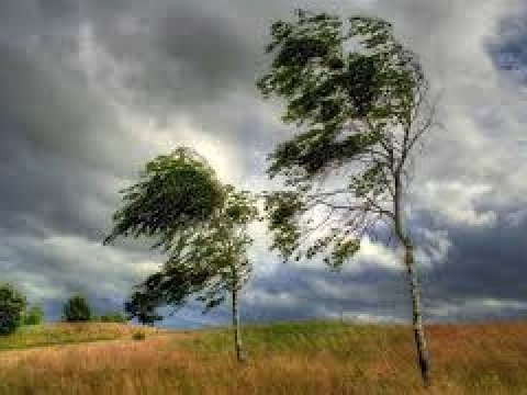 Bəzi yerlərdə yağıntılı və küləkli hava müşahidə olunub- FAKTİKİ HAVA