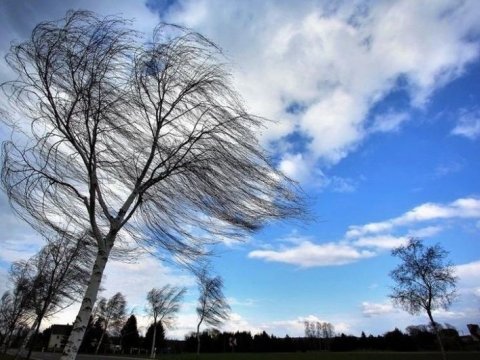 Bu gün hava necə olacaq?