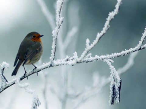 Bu gün hava necə olacaq? - PROQNOZ