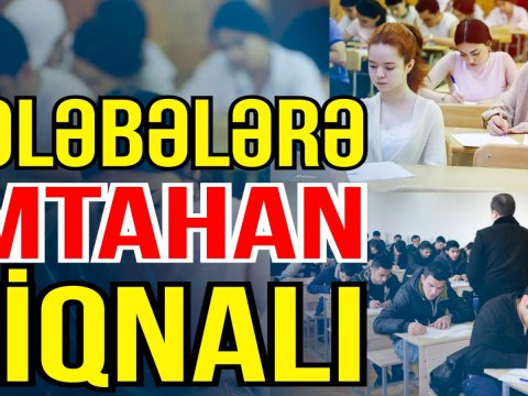 Tələbələr özlərini hələ də abituriyent kimi GÖRÜR
