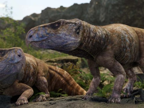 В Европе обнаружен утраченный вид динозавров