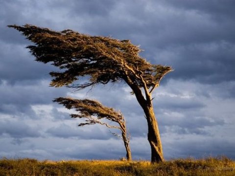 FHN küləkli hava şəraiti ilə əlaqədar əhaliyə müraciət edib