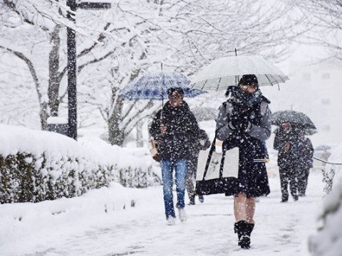 Bu günün hava PROQNOZU