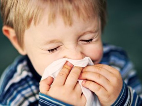 Soyuqdəymə&nbsp;virusdan yox, bədənin reaksiyasından asılıdır