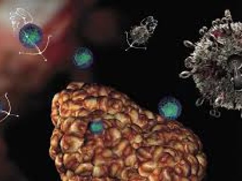 An incurable virus is spreading in India